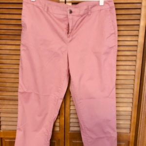 Style & Co coral chino pants